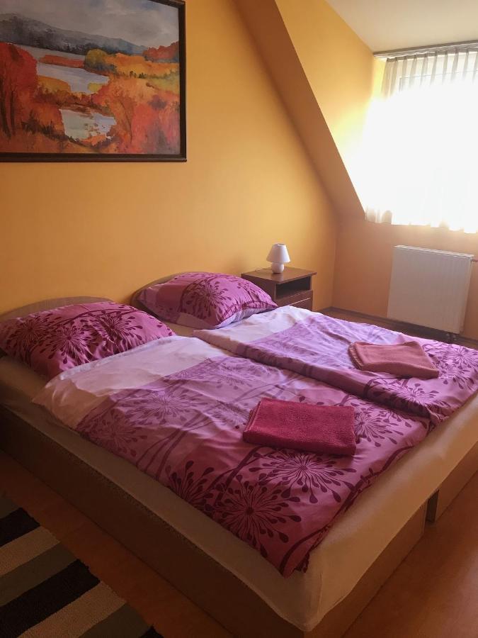 Sárvár Vida Apartman מראה חיצוני תמונה